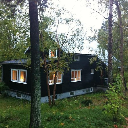 Birk Bed & Birds Bed and Breakfast Svanvik Rum bild