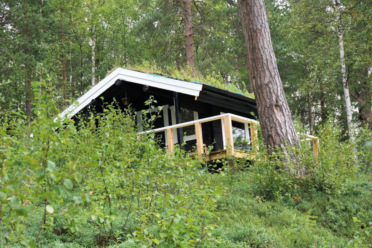 Birk Bed & Birds Bed and Breakfast Svanvik Exteriör bild