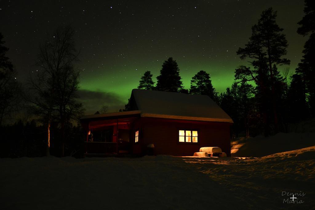 Birk Bed & Birds Bed and Breakfast Svanvik Exteriör bild