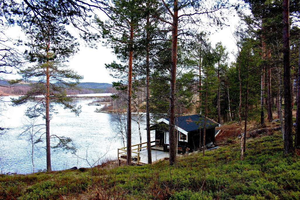 Birk Bed & Birds Bed and Breakfast Svanvik Exteriör bild