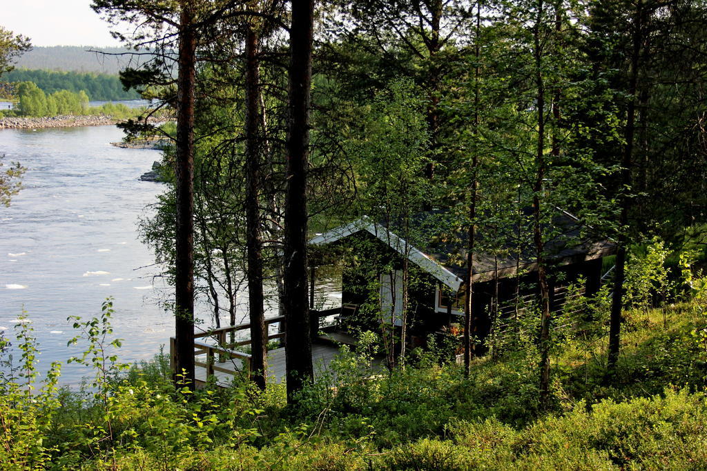 Birk Bed & Birds Bed and Breakfast Svanvik Exteriör bild