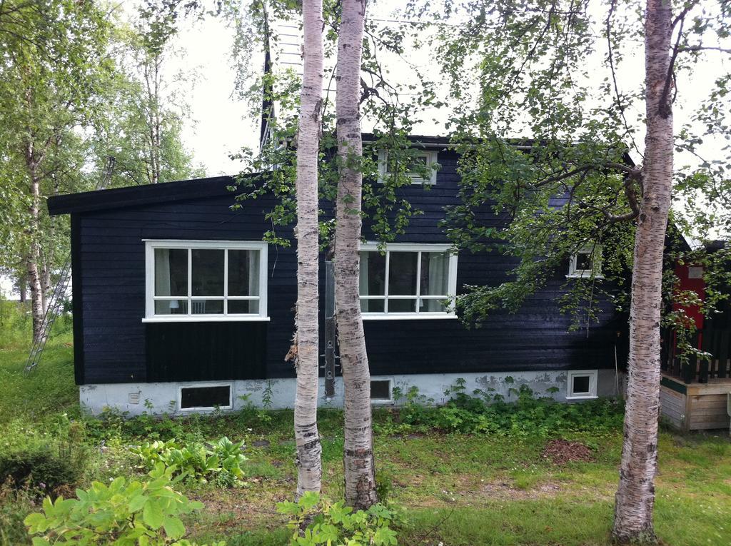 Birk Bed & Birds Bed and Breakfast Svanvik Exteriör bild